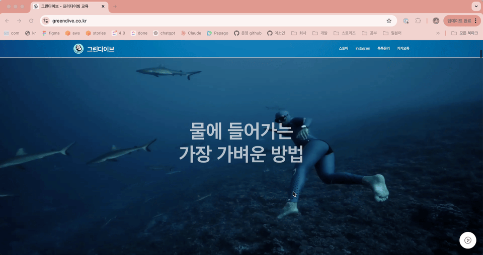 그린다이브 페이지